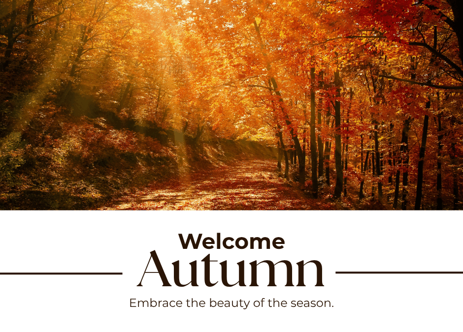 乾燥シーズン到来！今こそ肌の土台を整えるとき🍁